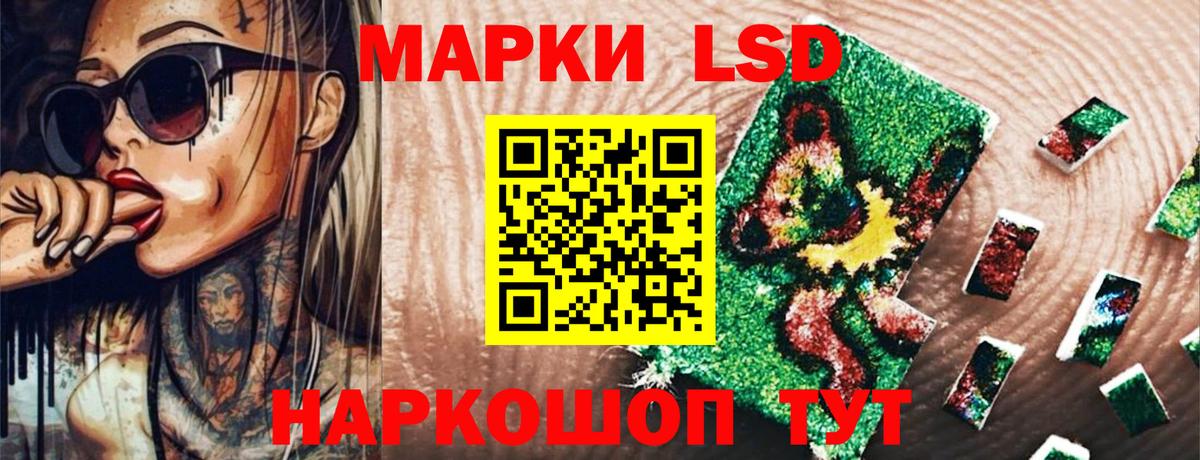 Кингисепп  Наркотические марки 1500мкг  Вход с VPN  Наркотические марки 1500мкг 